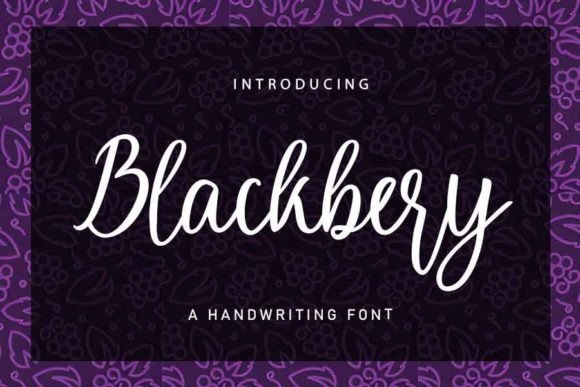 Blackbery Font for Web Design