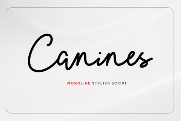 Canines Font for Creative Projects