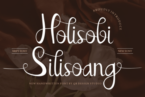 Holisobi Silisoang: A Bold Font for Business Branding