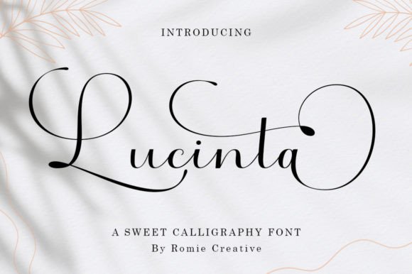 Lucinta Font for Web Design