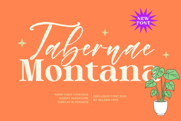 Tabernae Montana: A Font for Creative Campaigns
