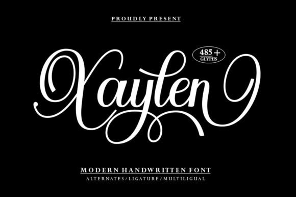 Xaylen Font: Bold, Unique, and Business-Ready